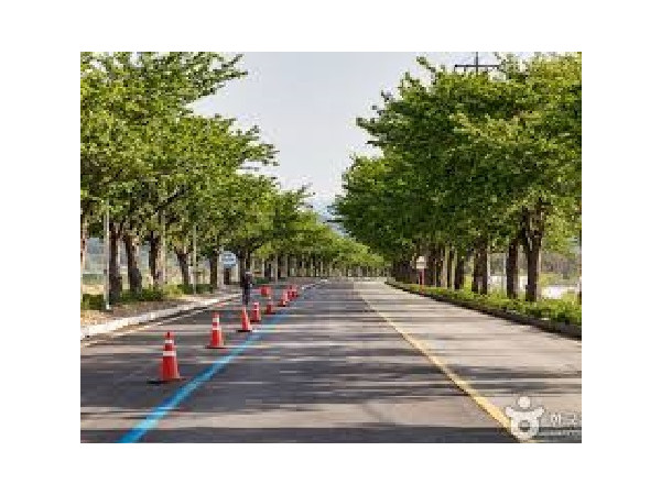 남대천 제방도로 가설공사 중 지반조사